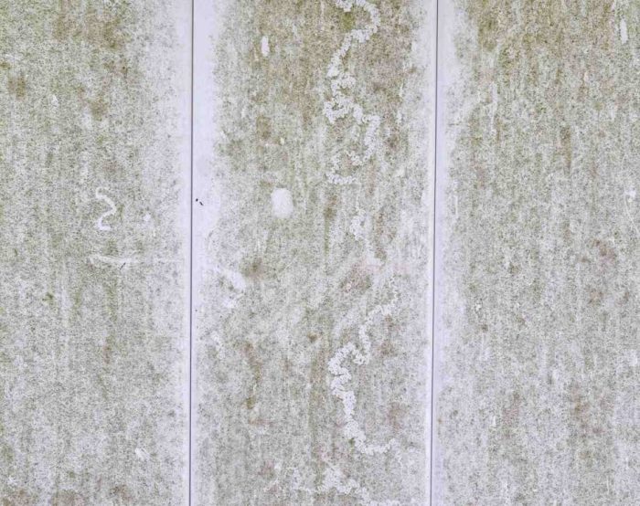 How to remove mold from vinyl fence